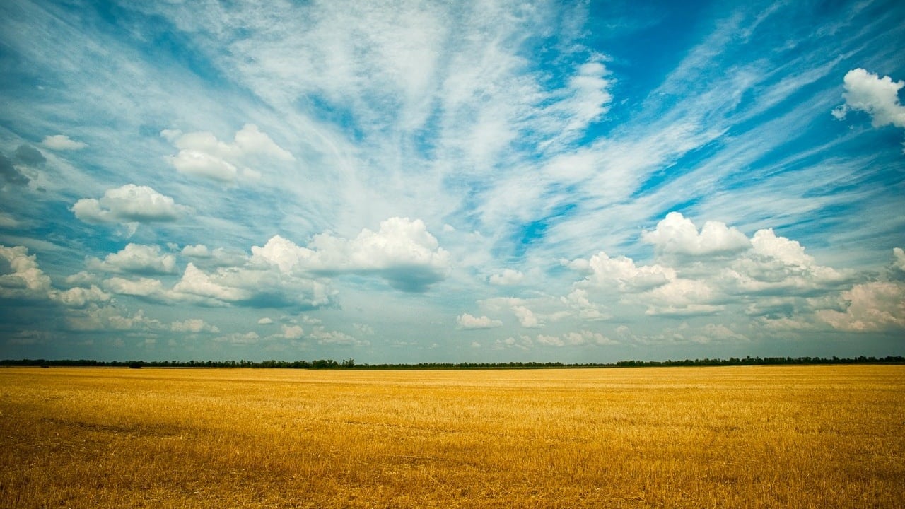 sky and field